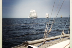 Expedition Anholt 2013